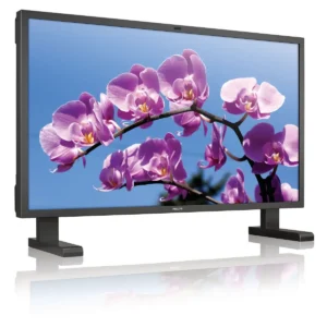 Philips LCD monitor BDL6551V/00