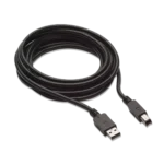HP 1.8m USB2.0 M/M USB cable USB 1.1 USB A USB B Black
