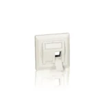 Equip 2-Port German Faceplate
