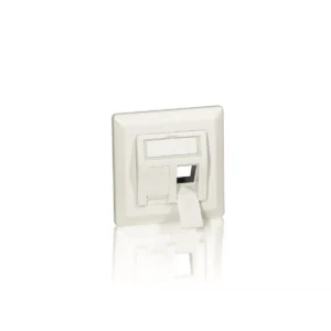 Equip 2-Port German Faceplate