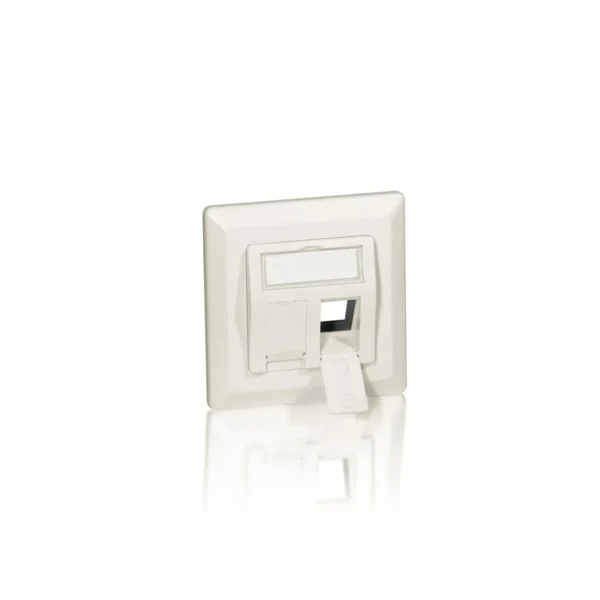 Equip 2-Port German Faceplate
