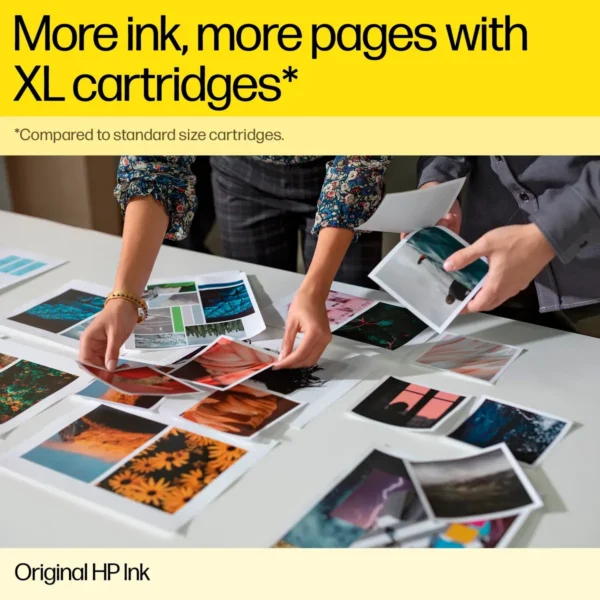 HP 703 Black Original Ink Advantage Cartridge