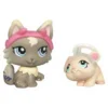Hasbro Littlest Pet Shop
