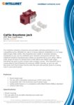PDF Preview