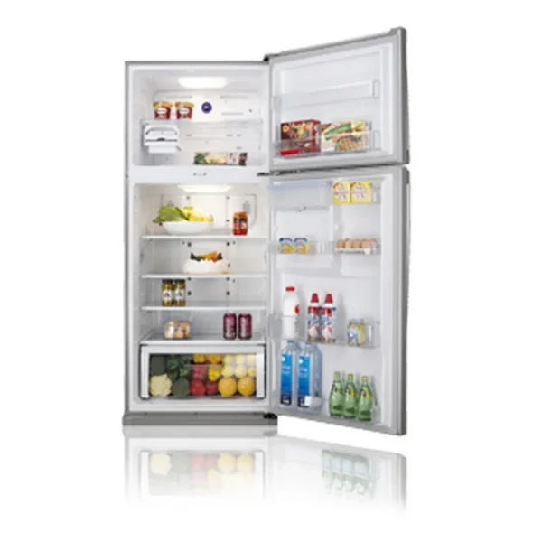 Samsung RT63PBPN Freestanding Platinum, Stainless steel