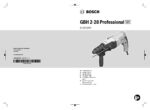 PDF Preview
