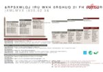 PDF Preview