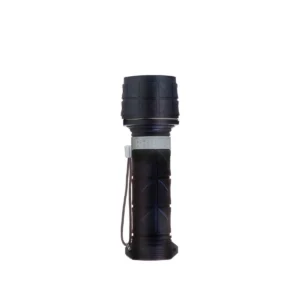 Philips LightLife Torch SFL5025/10