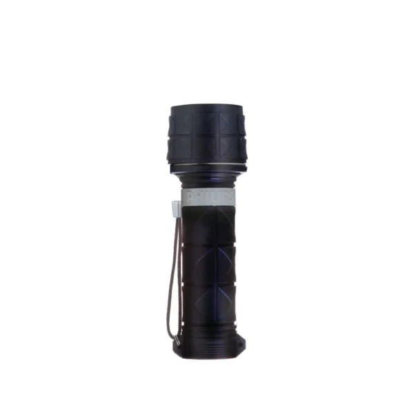 Philips LightLife Torch SFL5025/10