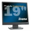 iiyama ProLite E1902S-1 19″ LCD Monitor computer monitor 48.3 cm (19″) 1280 x 1024 pixels Black