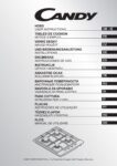 PDF Preview