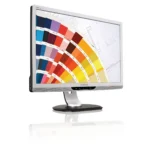 Philips Brilliance LCD monitor with Pivot base, USB, Audio 220P2ES/00