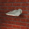 Ranex 5000.354 Halogen floodlight