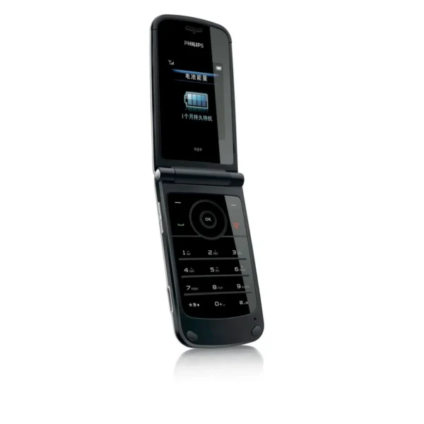 Philips Xenium CTX600BLK X600