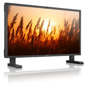 Philips LCD monitor BDL6531E/00