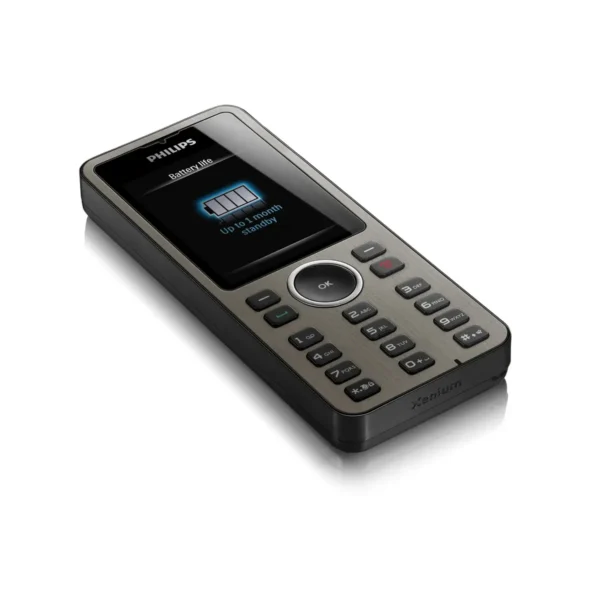 Philips Xenium CTX312BLK/00 mobile phone 5.59 cm (2.2″) 101 g Black