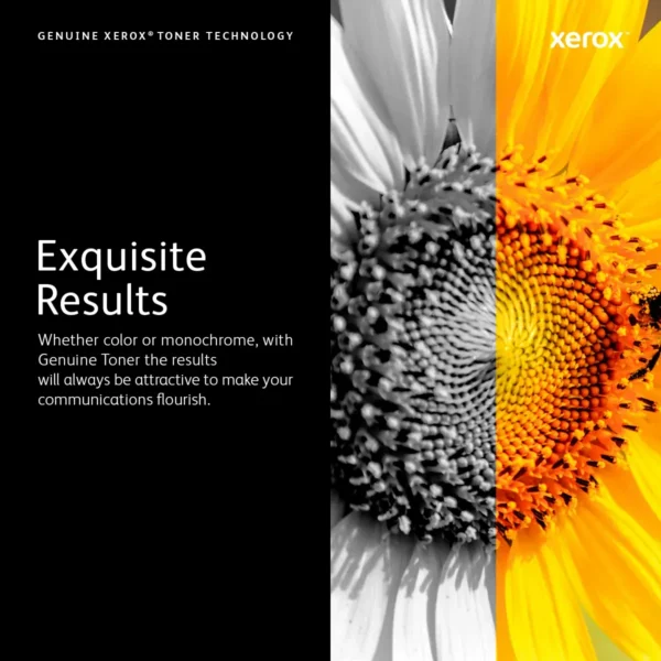 Xerox Genuine Phaser® 4622, Phaser™ 4600/4620 Toner Cartridge – 106R01533