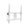 Multibrackets M Universal Tilt Wallmount White Medium