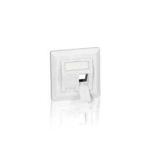 Equip 2-Port German Faceplate