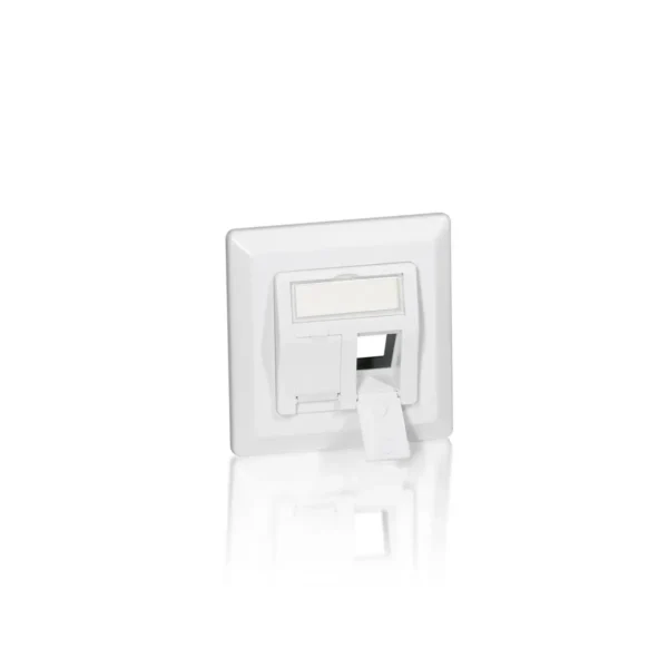 Equip 2-Port German Faceplate