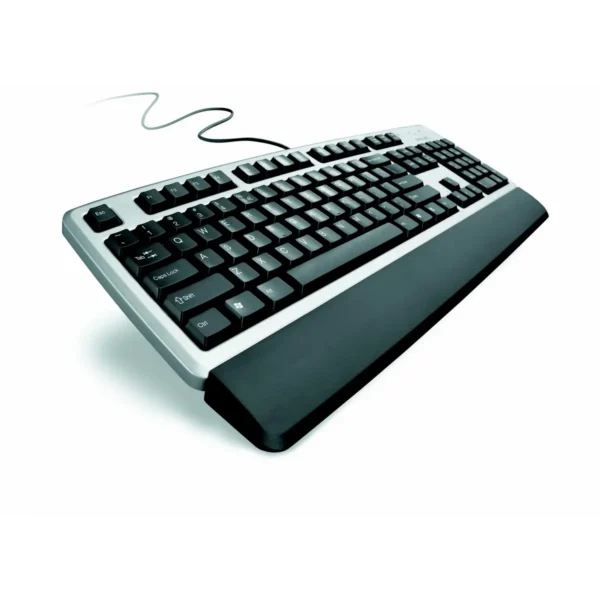 Philips SPK1000SM PS2 Wired keyboard