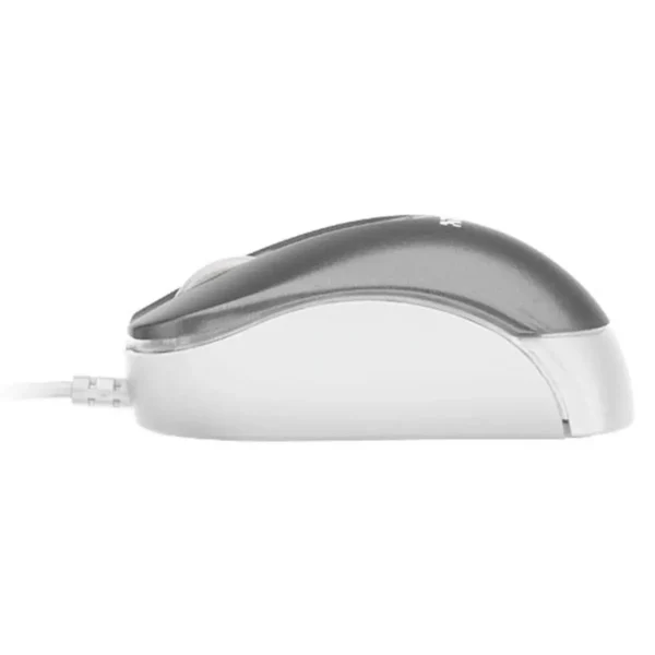 Trust 31002 mouse Office Ambidextrous USB Type-A Optical
