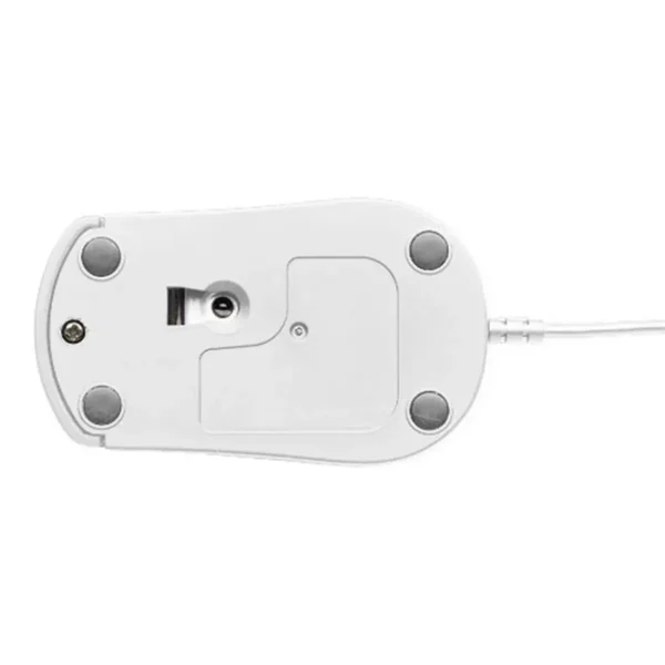 Trust 31002 mouse Office Ambidextrous USB Type-A Optical