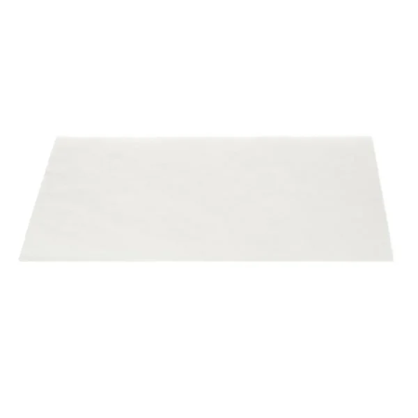 Philips PowerLife CRP415 Motor protection filter