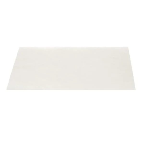 Philips PowerLife CRP415 Motor protection filter