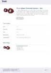 PDF Preview