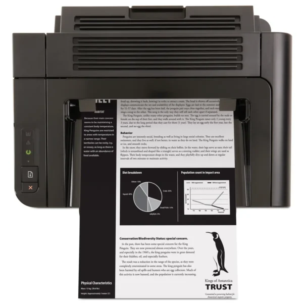 HP LaserJet Pro P1606dn 600 x 600 DPI A4