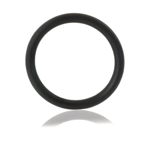 Philips HD5001 Rubber ring for beer tap unit