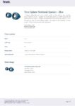 PDF Preview