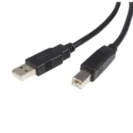 StarTech.com 6 ft USB 2.0 Certified A to B Cable – M/M