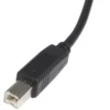StarTech.com 6 ft USB 2.0 Certified A to B Cable – M/M