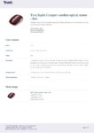 PDF Preview