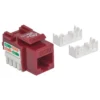 Intellinet Keystone Jack, Cat6, UTP, Punch-down, Red