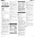 PDF Preview