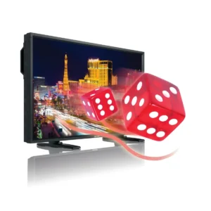 Philips LCD monitor BDL5571VS/00