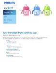 PDF Preview