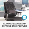 Fellowes Back Support for Office Chair – Professional Series Mesh Office Chair Back Support – Easy To Attach – H19.53 x W30.32 x D36.99cm