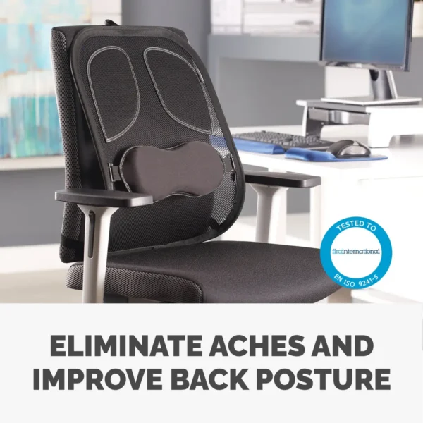 Fellowes Back Support for Office Chair – Professional Series Mesh Office Chair Back Support – Easy To Attach – H19.53 x W30.32 x D36.99cm