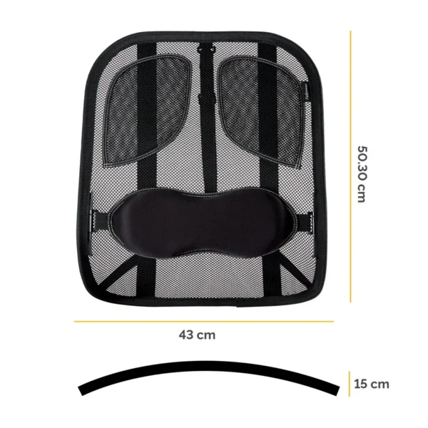 Fellowes Back Support for Office Chair – Professional Series Mesh Office Chair Back Support – Easy To Attach – H19.53 x W30.32 x D36.99cm