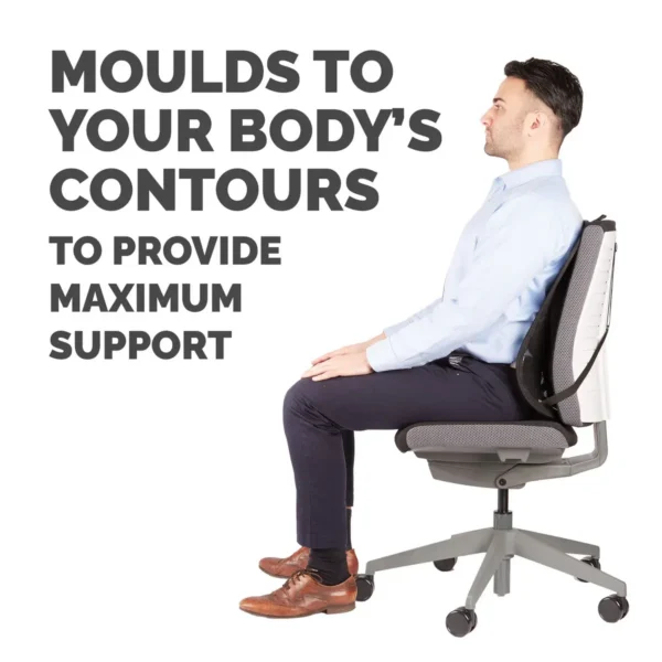 Fellowes Back Support for Office Chair – Professional Series Mesh Office Chair Back Support – Easy To Attach – H19.53 x W30.32 x D36.99cm