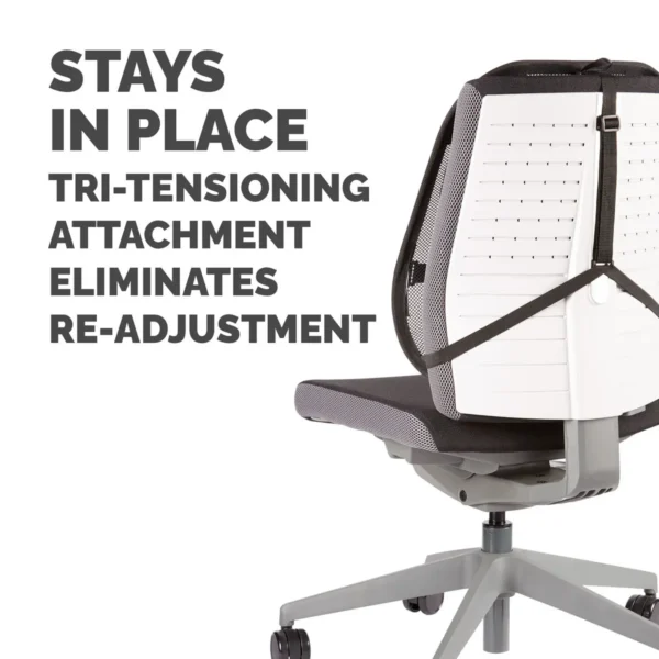 Fellowes Back Support for Office Chair – Professional Series Mesh Office Chair Back Support – Easy To Attach – H19.53 x W30.32 x D36.99cm