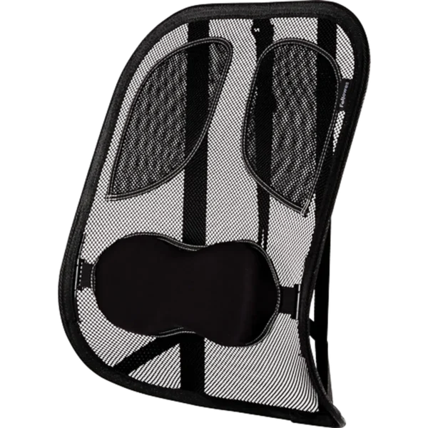 Fellowes Back Support for Office Chair – Professional Series Mesh Office Chair Back Support – Easy To Attach – H19.53 x W30.32 x D36.99cm