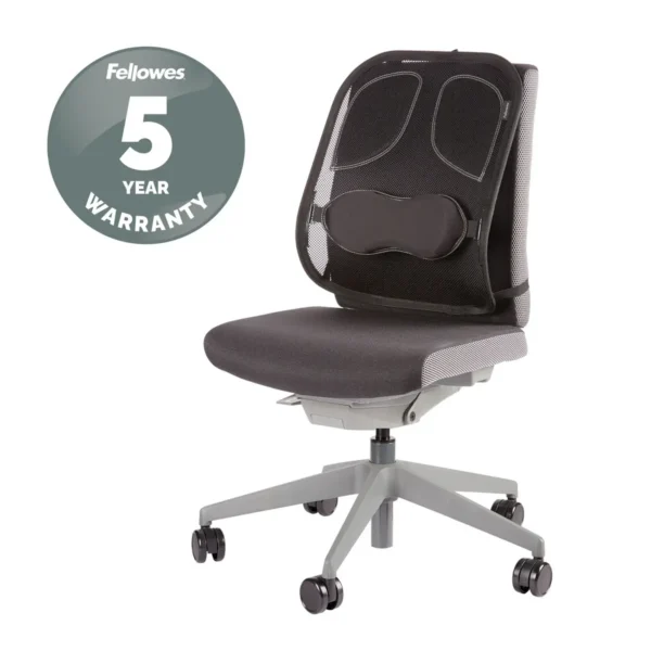 Fellowes Back Support for Office Chair – Professional Series Mesh Office Chair Back Support – Easy To Attach – H19.53 x W30.32 x D36.99cm