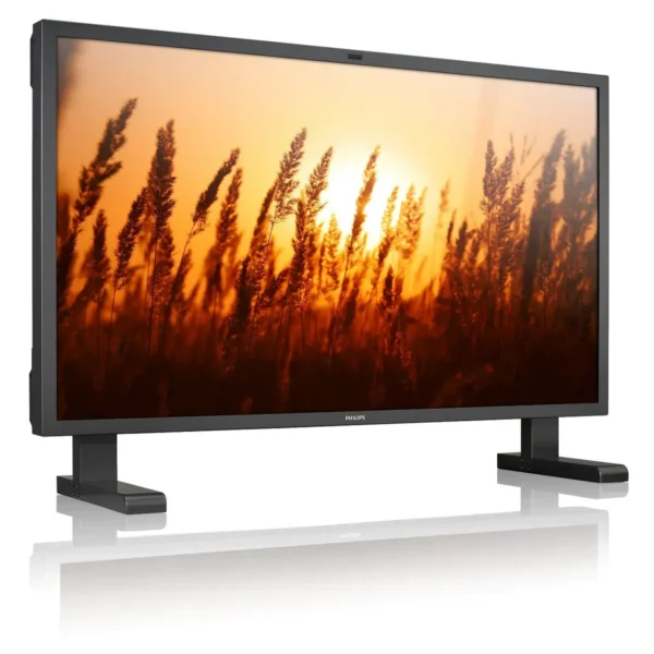 Philips LCD monitor BDL6531E/01