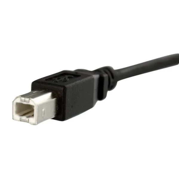 StarTech.com 1 ft Panel Mount USB Cable B to B – F/M